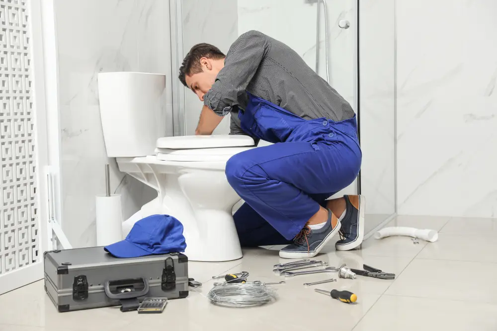 Toilet Installation in South Miami Heights